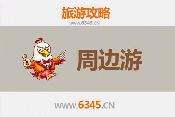 德州庆云周边游全攻略：探秘鲁北风情，畅享文化自然之旅